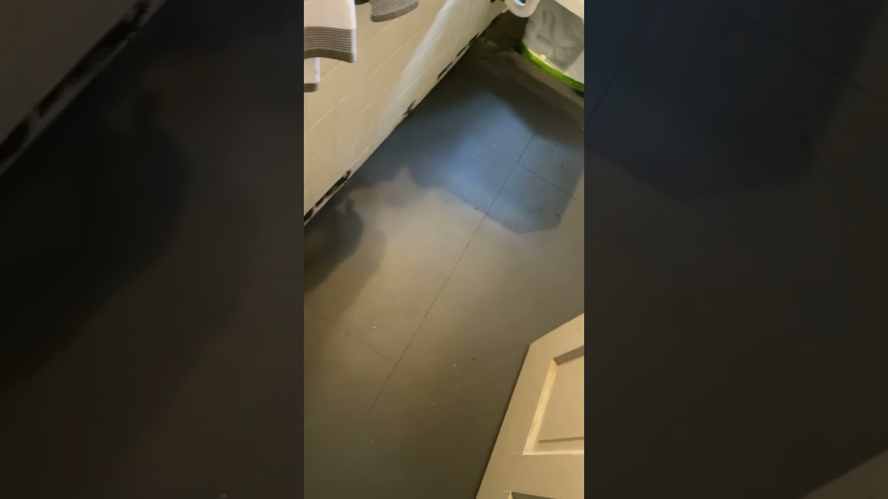 DIY Marble floor makeover in bathroom