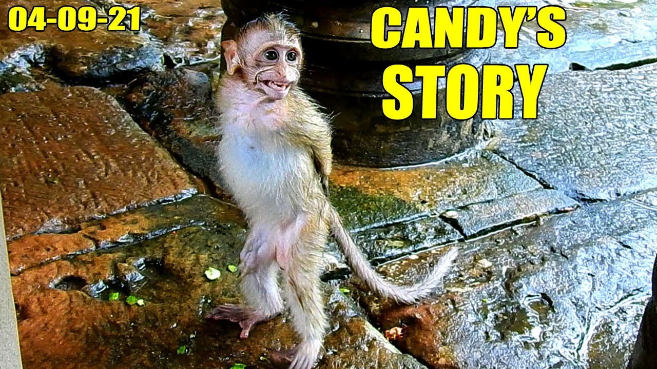NEW UPDATE & CANDY'S DATA! THIS BABY ABANDON CALL CANDY, SHE IS THE NEWEST GIRL HERE.