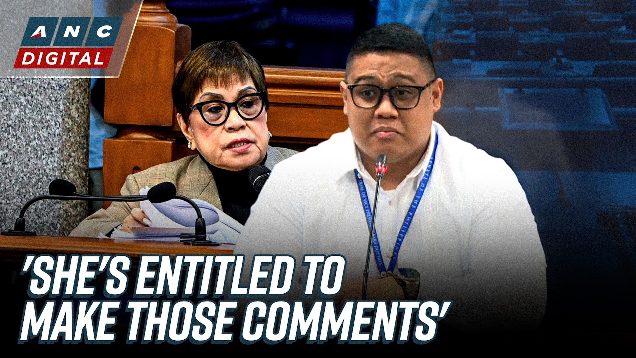 Gular to Kapunan: Premature to discuss VP Sara's defense on SALN, business interests | ANC