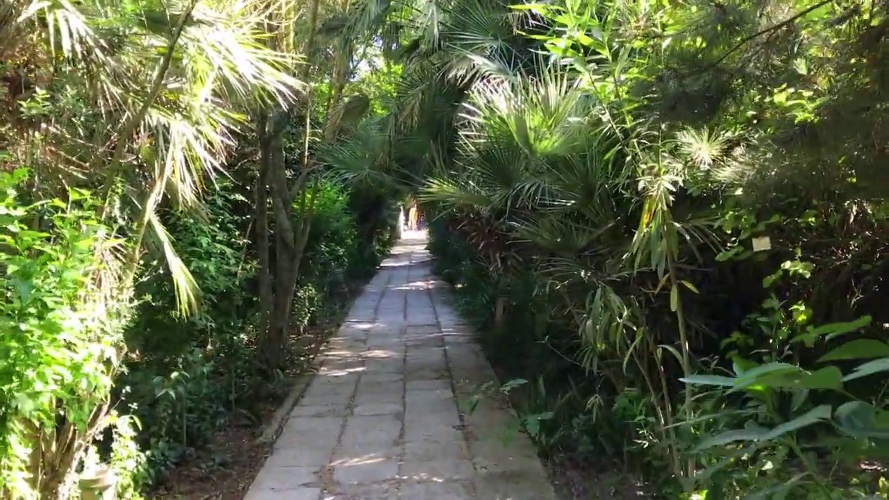 Mərdəkan Botanika Bağı (Dendroloji Park) / Mardakan Arboretum (Garden)