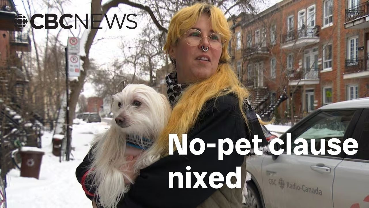 Housing tribunal nixes no-pet clause in tenant&rsquo;s lease, says it violates Quebec Charter rights