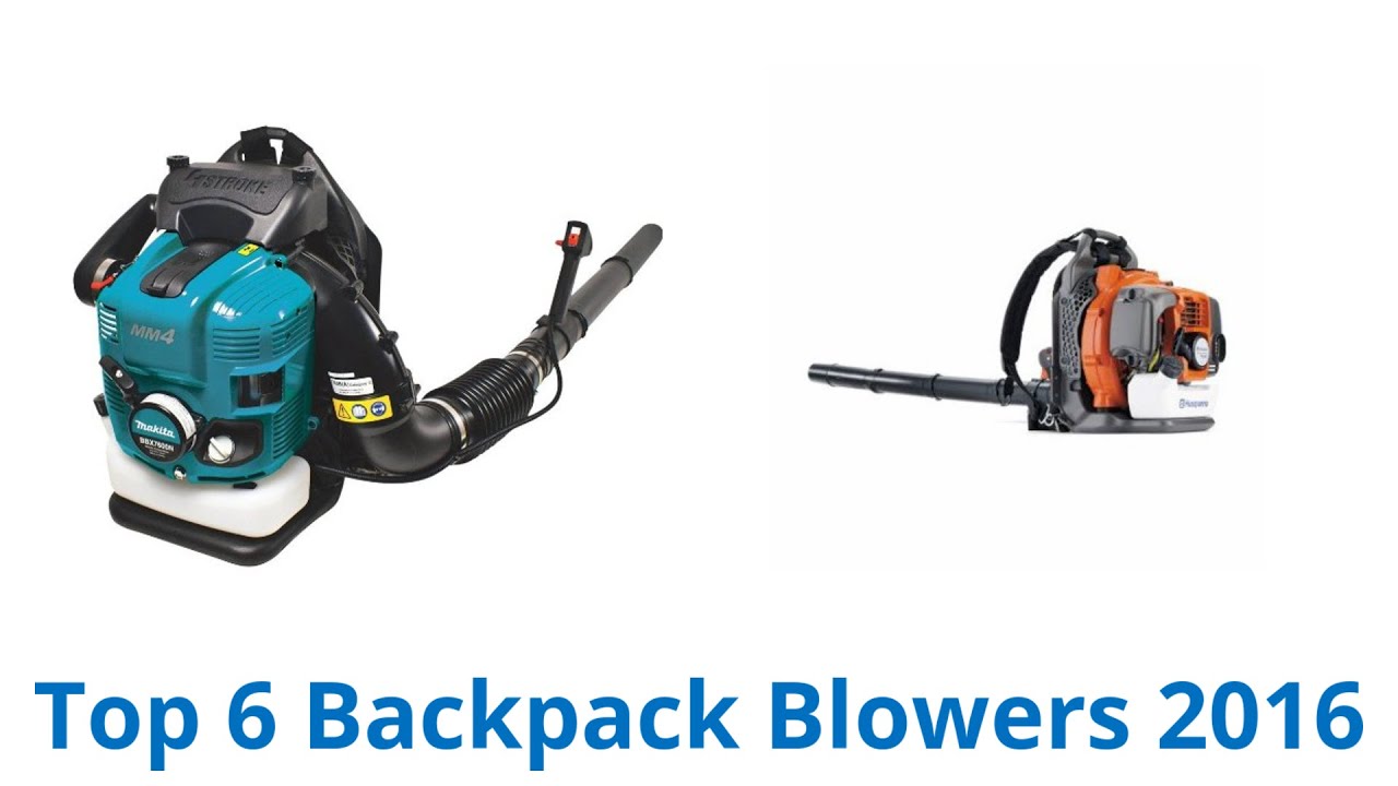 6 Best Backpack Blowers 2016