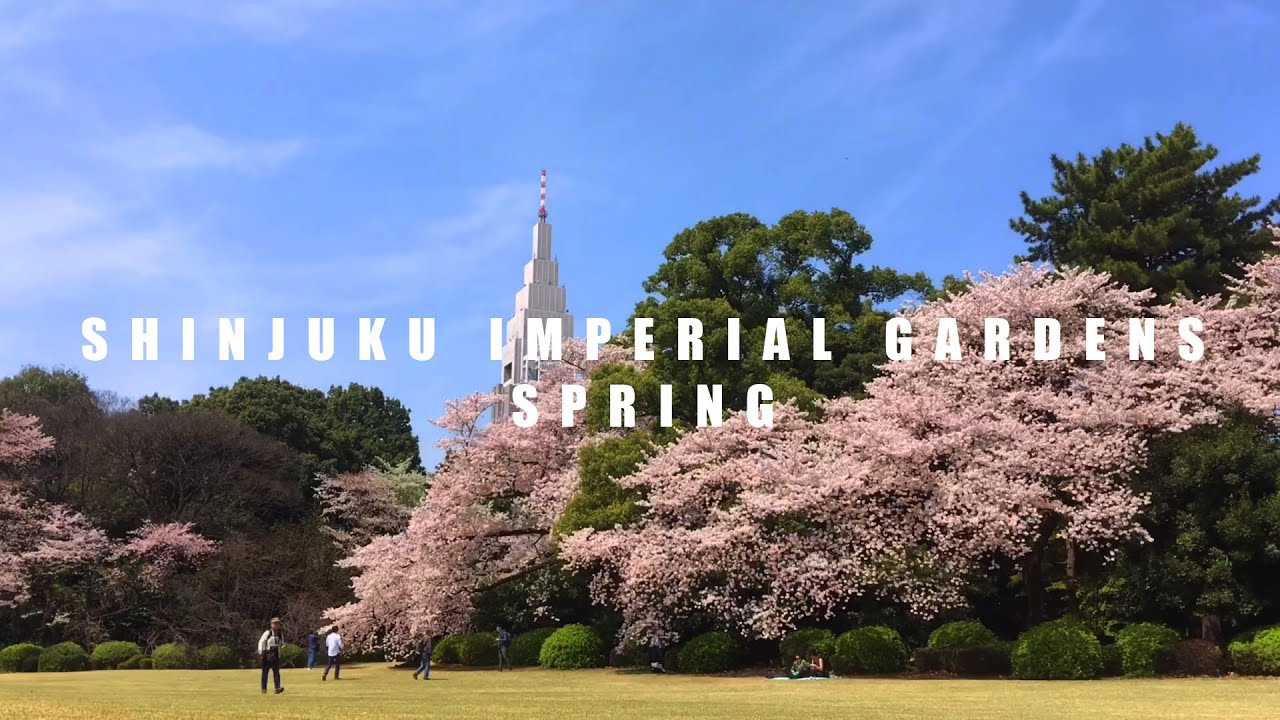 BEAUTIFUL JAPAN: Shinjuku Gyoen Spring 2016 - 新宿御苑 春 2016年