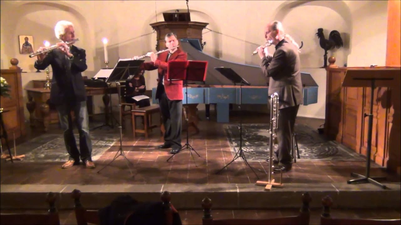 J.S. Bach - Sinfonia IX BWV 795 performed by Trio Alt