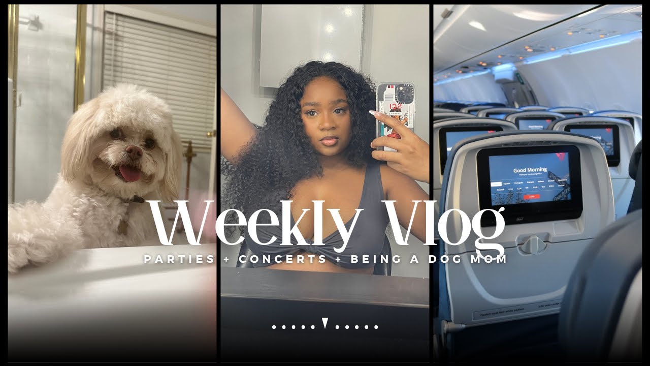 weekly vlog: dog mom duties, travis scott concert, chicago trip