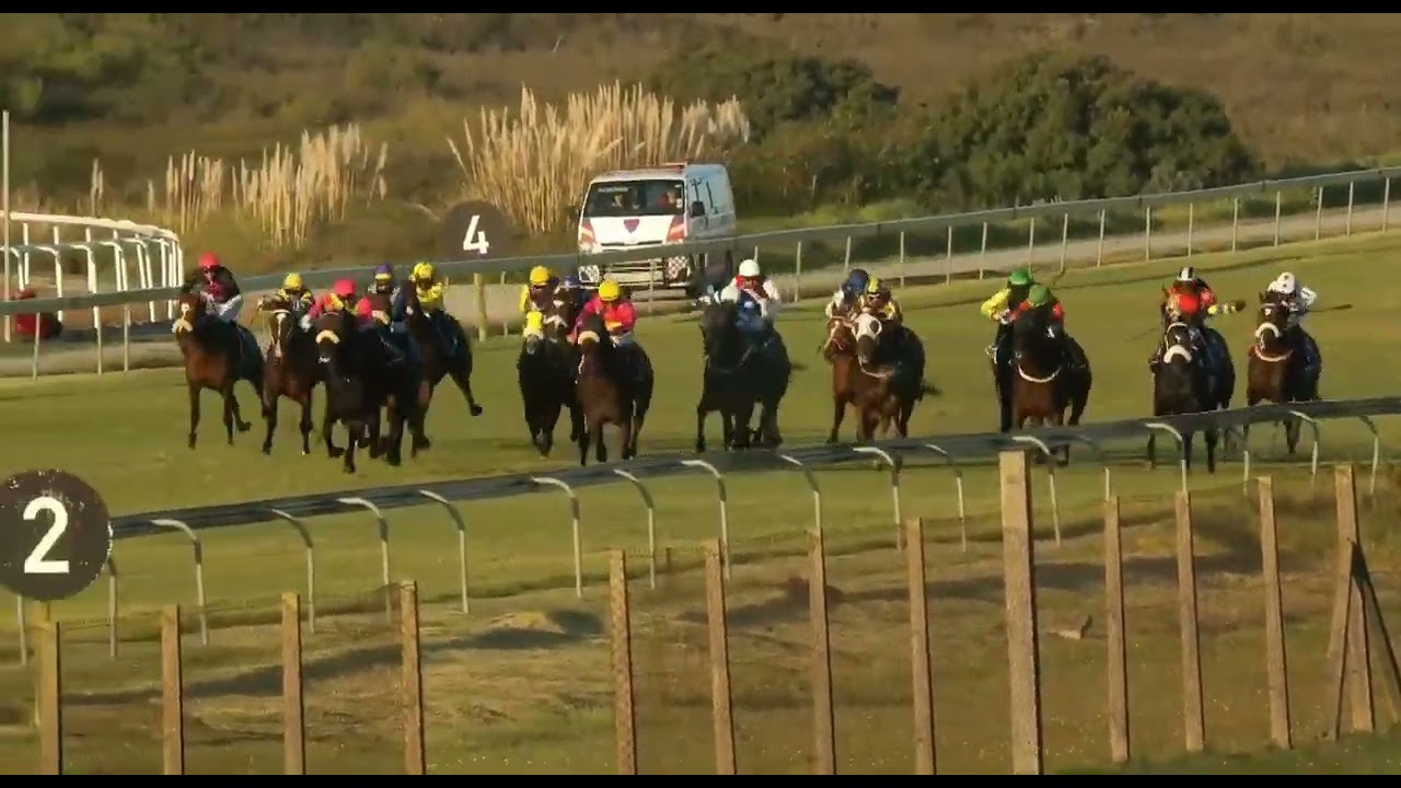 NARCOS - RACE 9 #fairview 15 JULY 2022