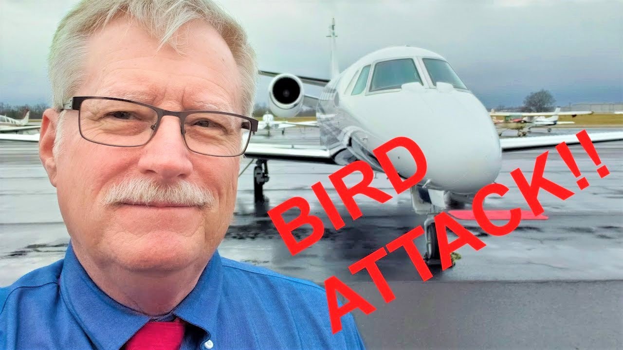 BIRD ATTACK! on Takeoff and Flying the Cessna Citation in Snow and Rain