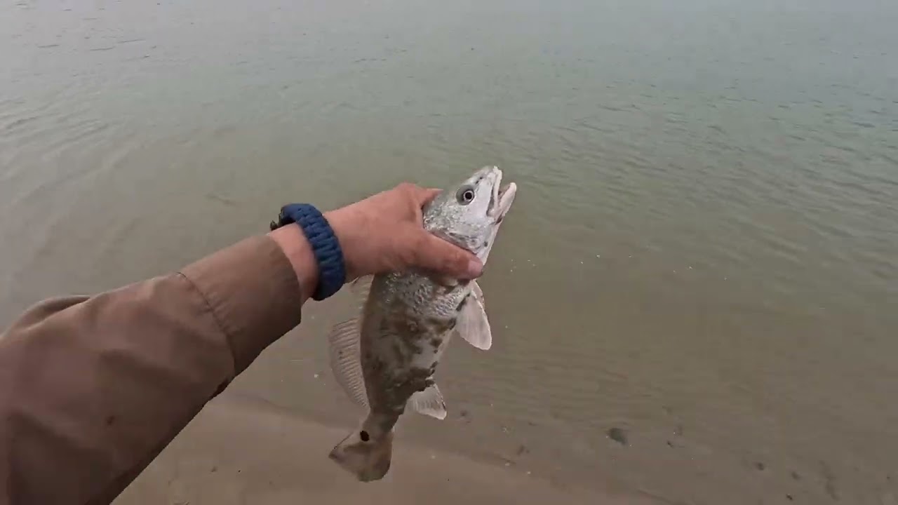 First Day, Fishing 2025 Arroyo City