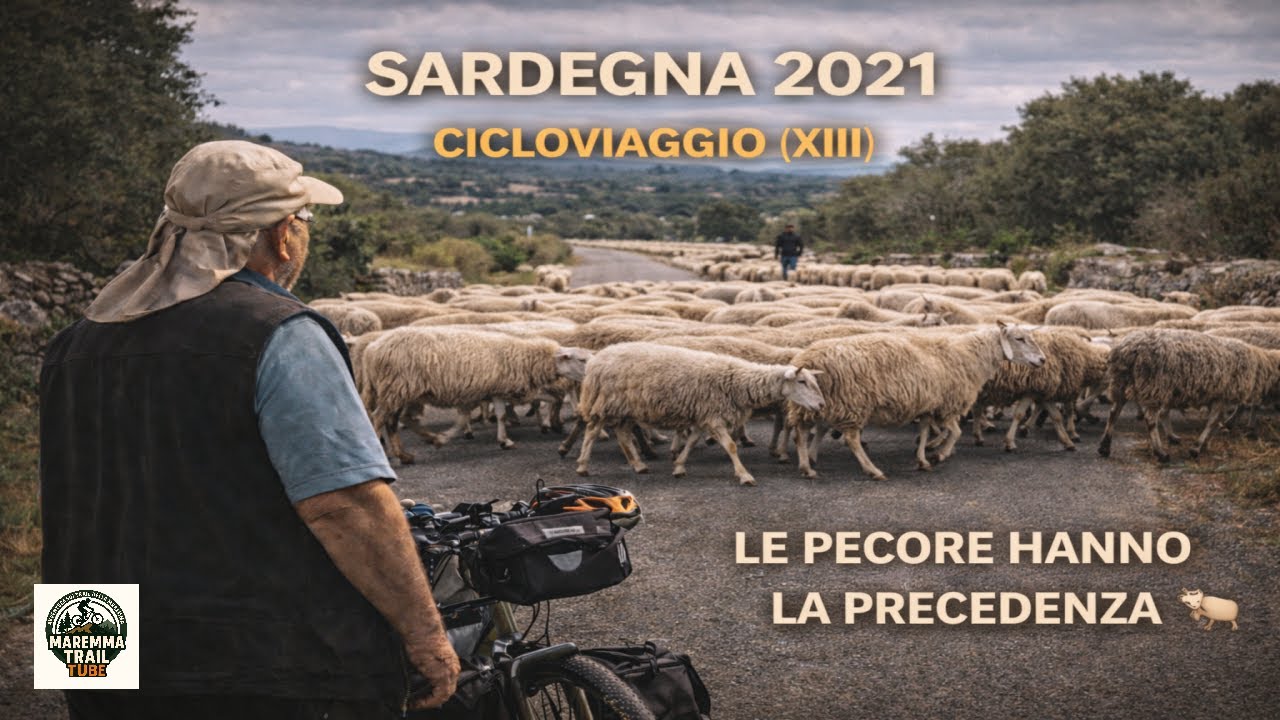 Cicloviaggio (13) – Sardegna 2021: le pecore hanno la precedenza 🐑🚴‍♂️