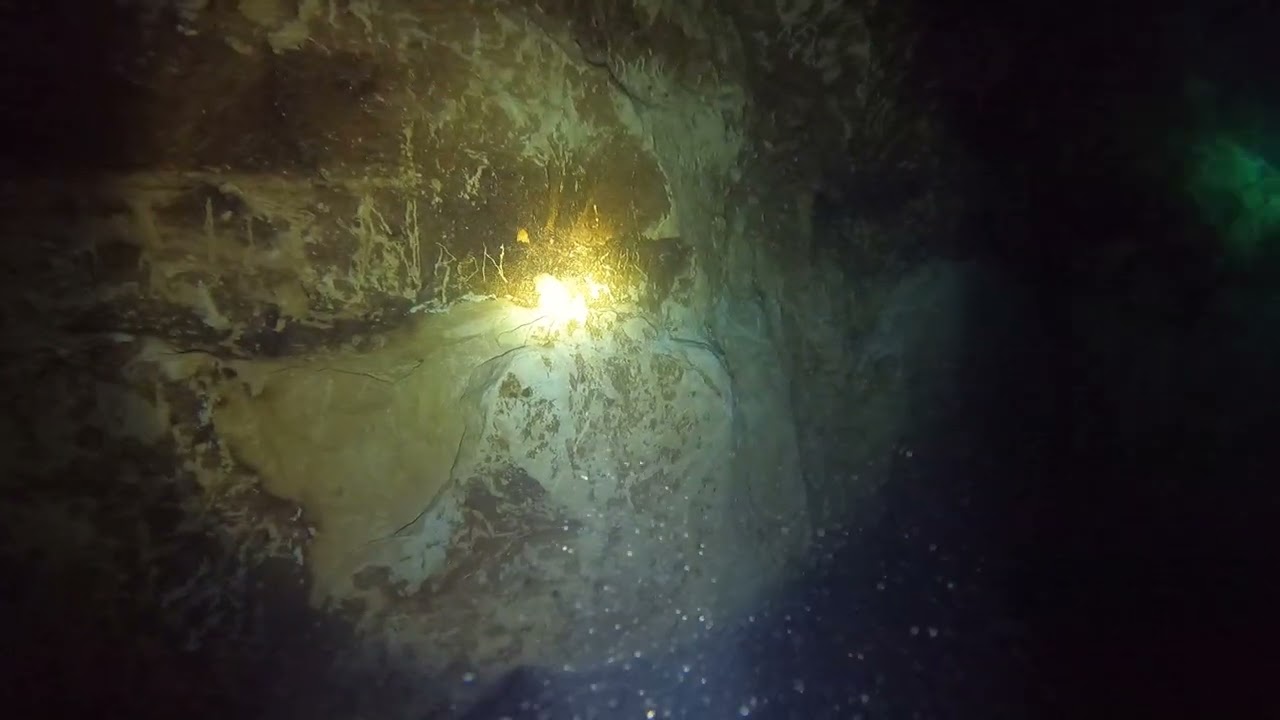 2026 01 26 Paradise Spring Lisa Deep Checkout Dive 5