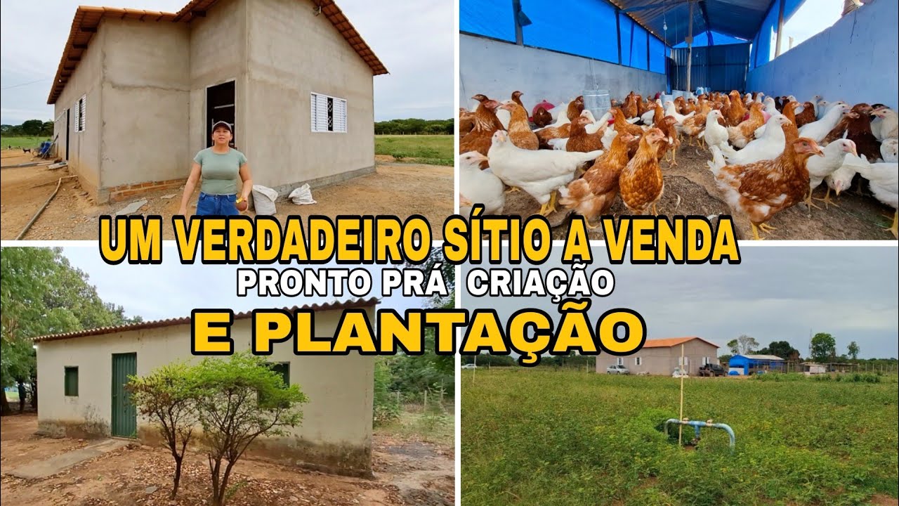 SÍTIO A VENDA PRONTO PRA PLANTAÇÕES E CRIAÇÃO de galinhas patos dangolas porco  2 casas 