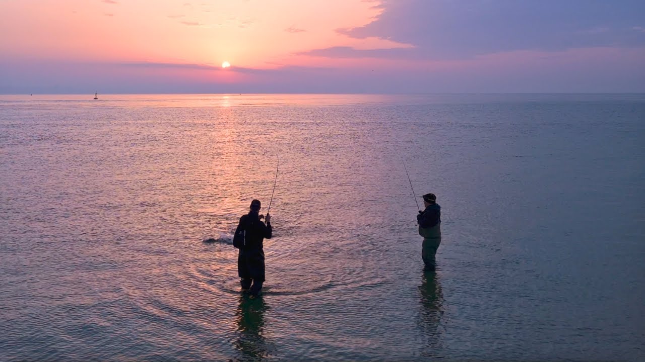 Lure Fishing For Bass - UK Sea Fishing