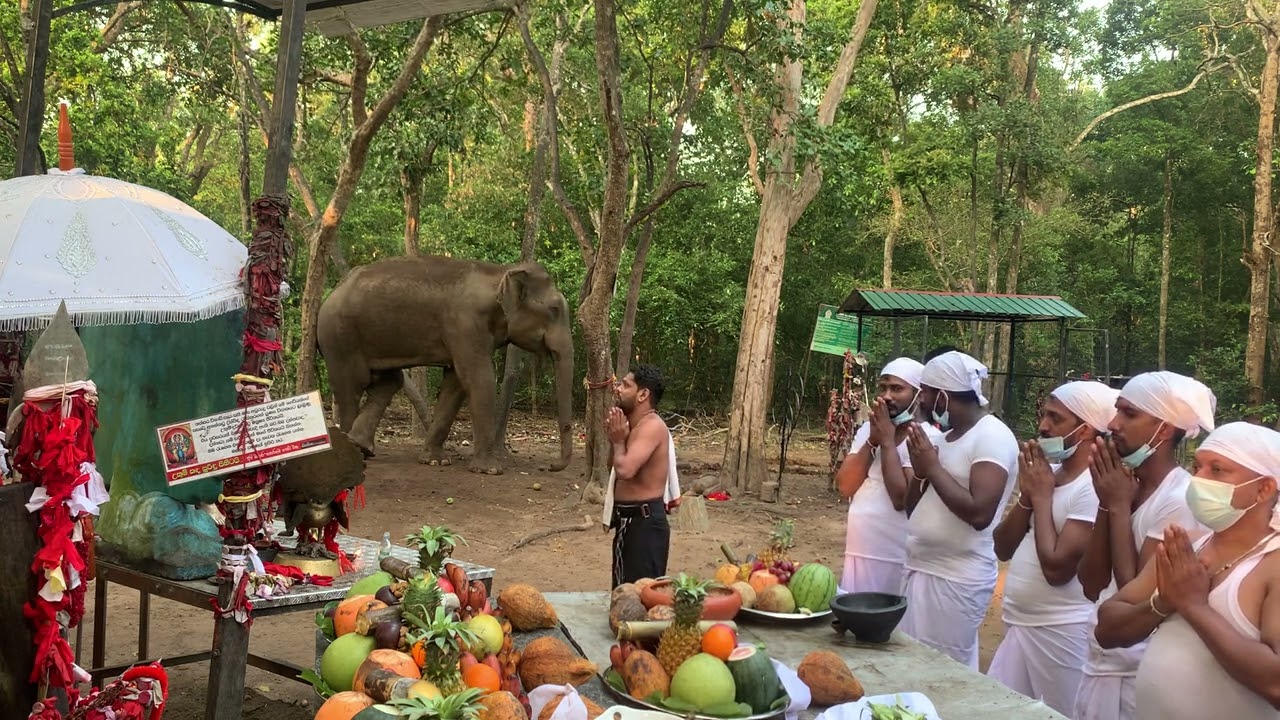 දගයාට ටිකාක් තරහ ගිහින් . අපිත් එක්ක බුදුන් වදිනවා. මාරම හාස් කමක් . ඔයාලත් එන්න Vidiyo විනාඩි 36ක්.