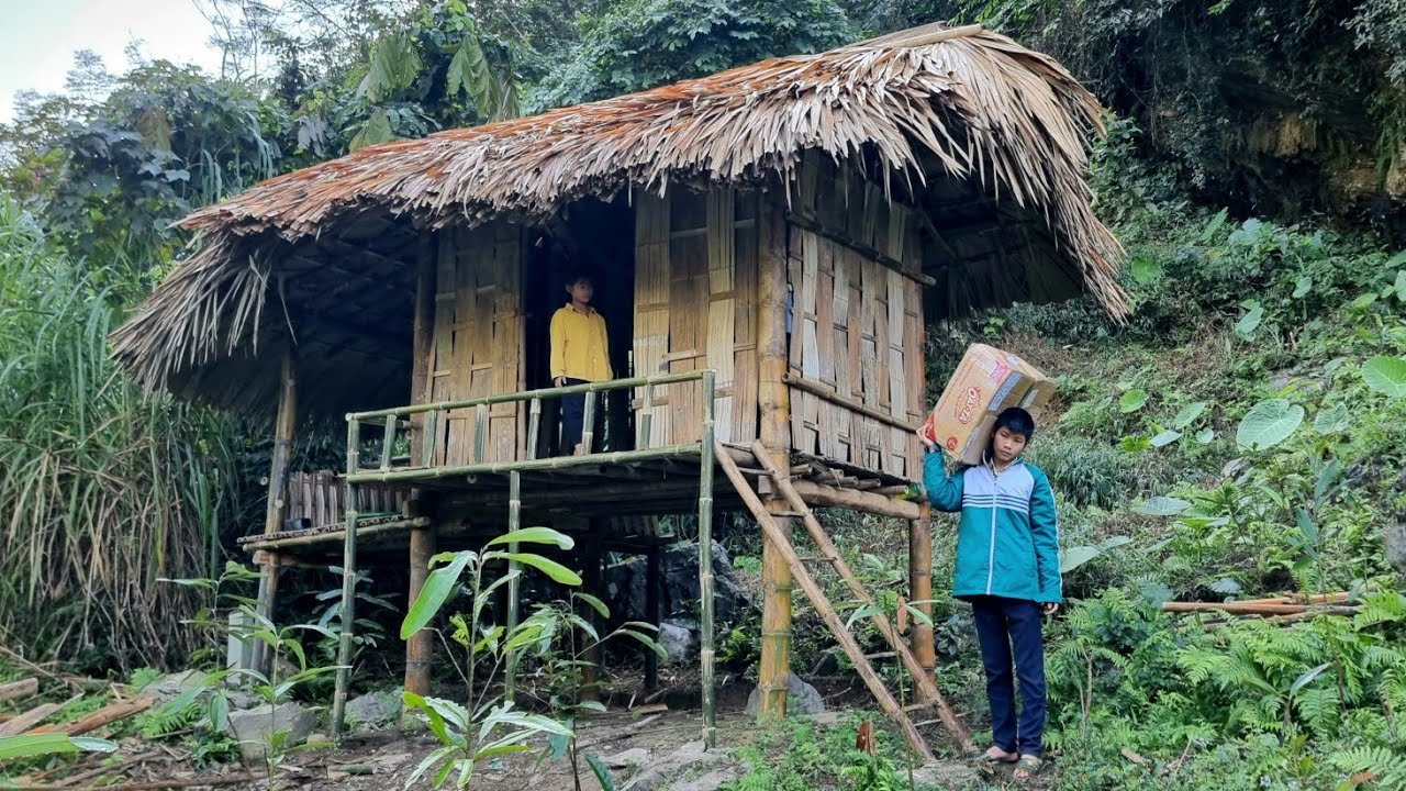 The poor boy and girl picked star fruit and sold it to clean up their house-Homeless boy