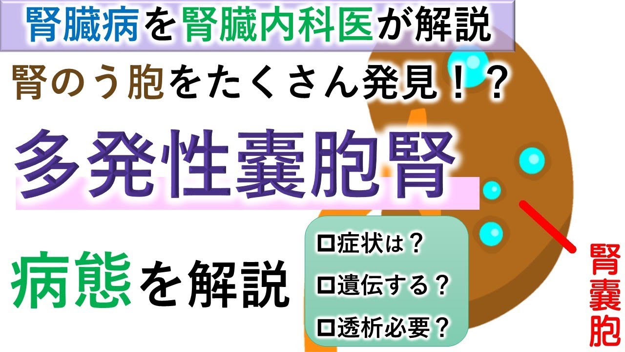 【腎臓内科医が解説】健診で腎のう胞をたくさん発見！？多発性嚢胞腎の病態解説【難病】【病態】