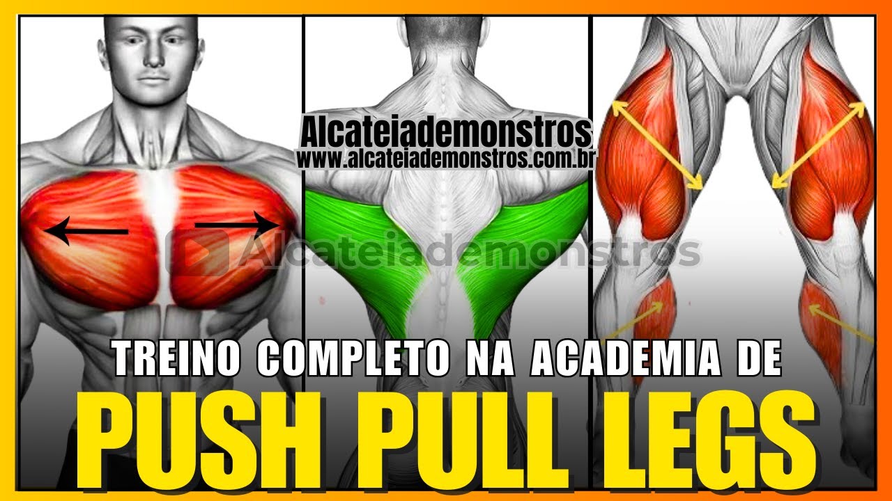 PUSH PULL LEGS WORKOUT: THE AMERICAN METHOD TO BUILD MUSCLE MASS FAST IN THE GYM!