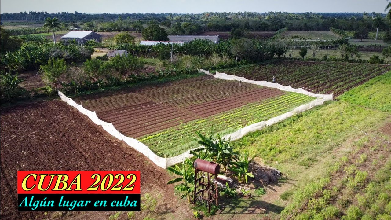 Algún Lugar en Cuba Junio 2022