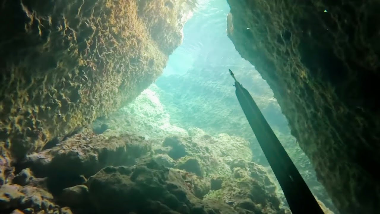 Pescasub: PESCI IN TANA E ORATA AL LIBERO