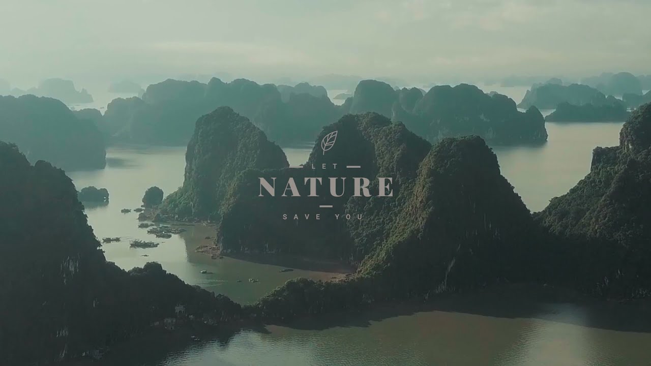 Nature Appreciation. Beautiful Relaxing Music.