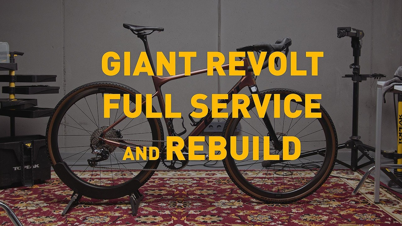 Full service / upgrade / rebuild my Giant Revolt