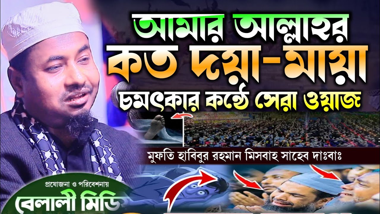 আমার আল্লাহর কত মায়া | মুফতি হাবিবুর রহমান মিসবাহ সাহেব ওয়াজ 