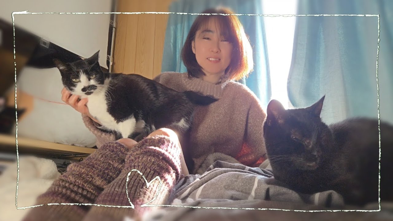 まったり、ゆったり、ぽっかぽか、猫と