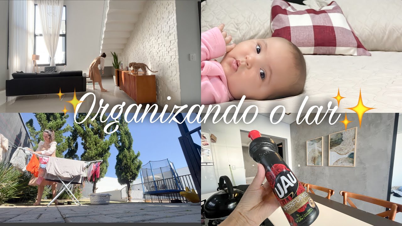 ✨LIMPEZA E ORGANIZAÇÃO DO LAR 🏠 coprei uma air fryer nova