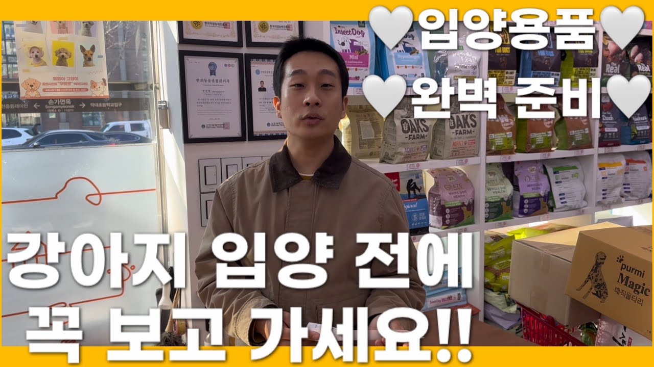 강아지 입양(분양) 용품 준비 알려드릴게요!
