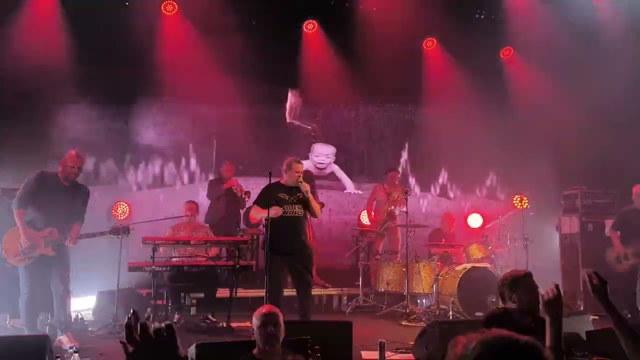 Kult - Maria ma syna | Klub Studio | Kraków | 8.10.2024 #kult #kazik #operacjateneryfa