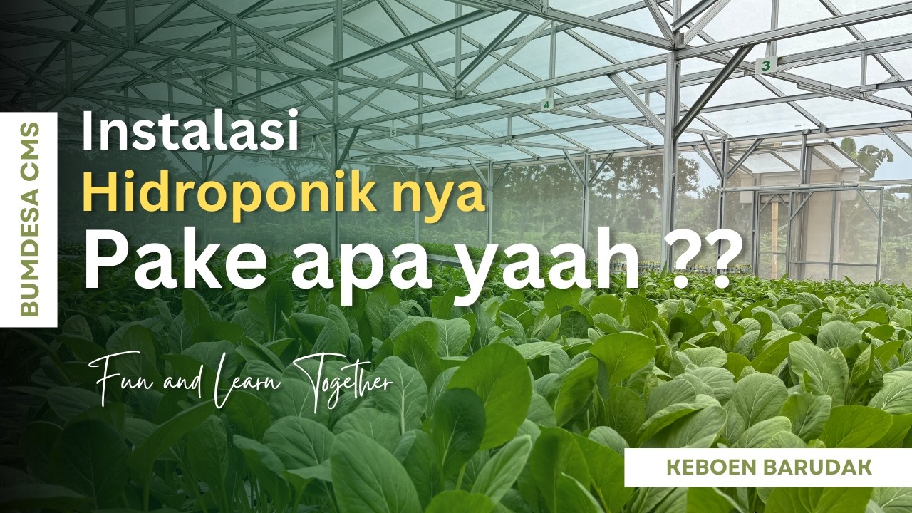 Hayo pake apa coba?? 🌱😁😇