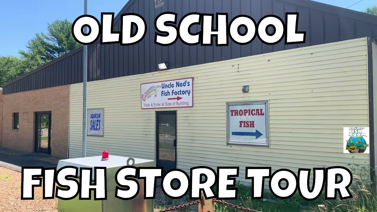 OLD SCHOOL Local Fish Store Tour Uncle Neds Fish Factory