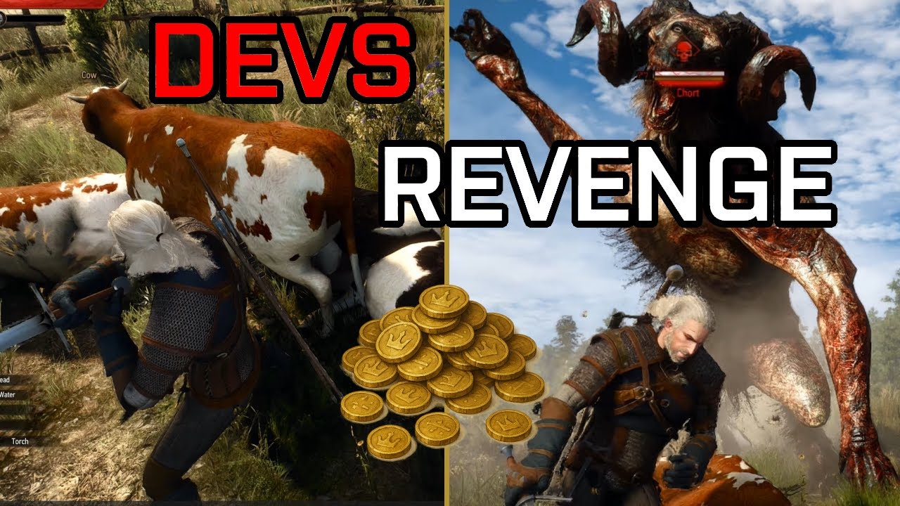 Devs Didn&rsquo;t Like This Glitch &ndash; Infinite Money in Witcher 3