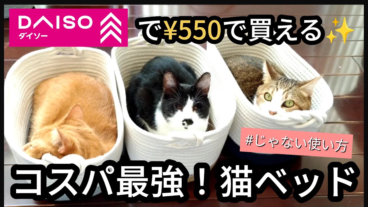 【#じゃない使い方】100均でオシャレでコスパ最強な猫ベッドを見つけました！