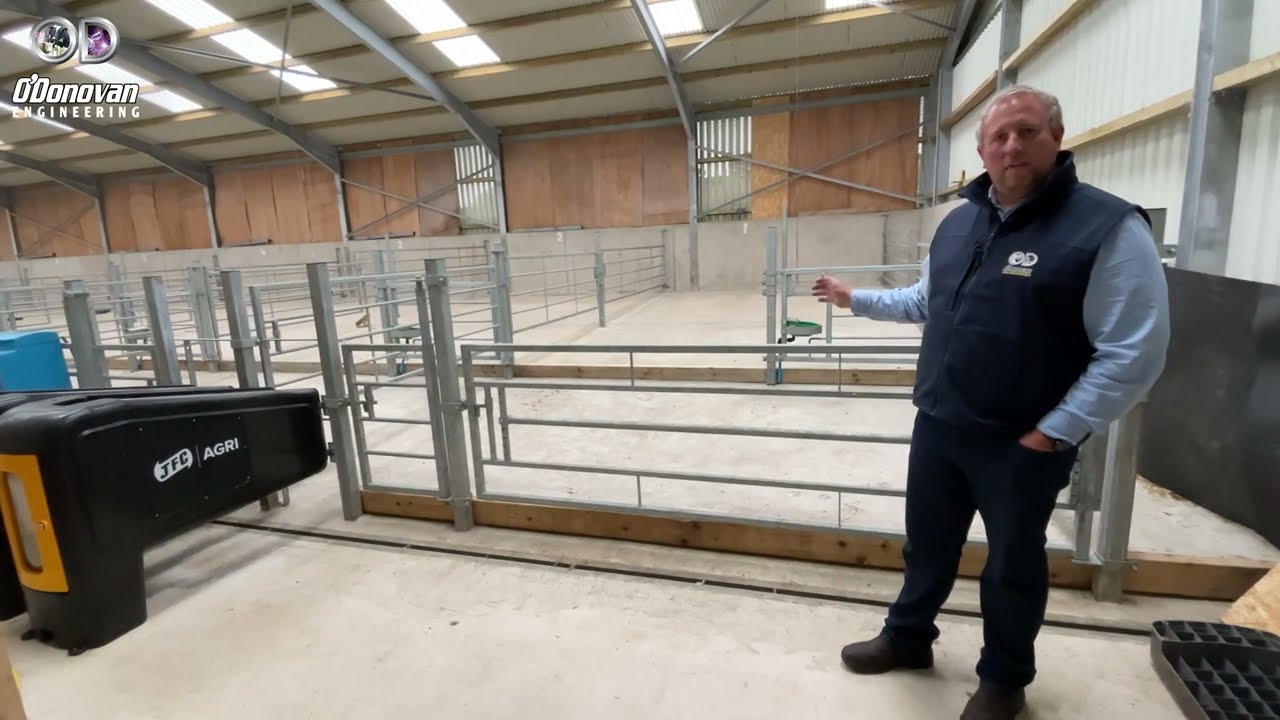 Calf Shed Design Features By O'Donovan Engineering