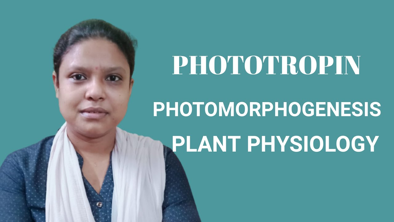 PHOTOTROPIN //PHOTOMORPHOGENESIS //PLANT PHYSIOLOGY
