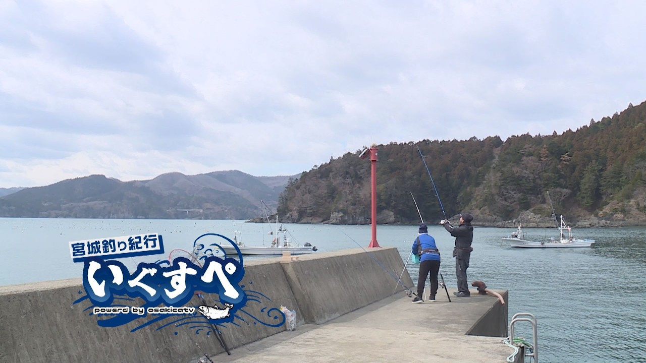 宮城釣り紀行いぐすぺ　～雄勝湾チョイ投げ編～