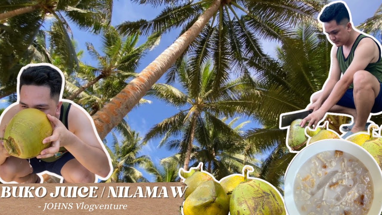 GUMAWA KAMI NG FRESH BUKO JUICE | JOHNS VLOGVENTURE #buhayprobinsya #dailyvlog #bukid #coconut