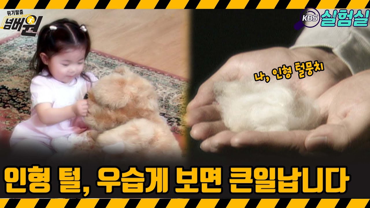 [지식실험] 인형 털, 우습게 보면 큰일 납니다  [위기탈출 넘버원] | KBS 20061014 방송