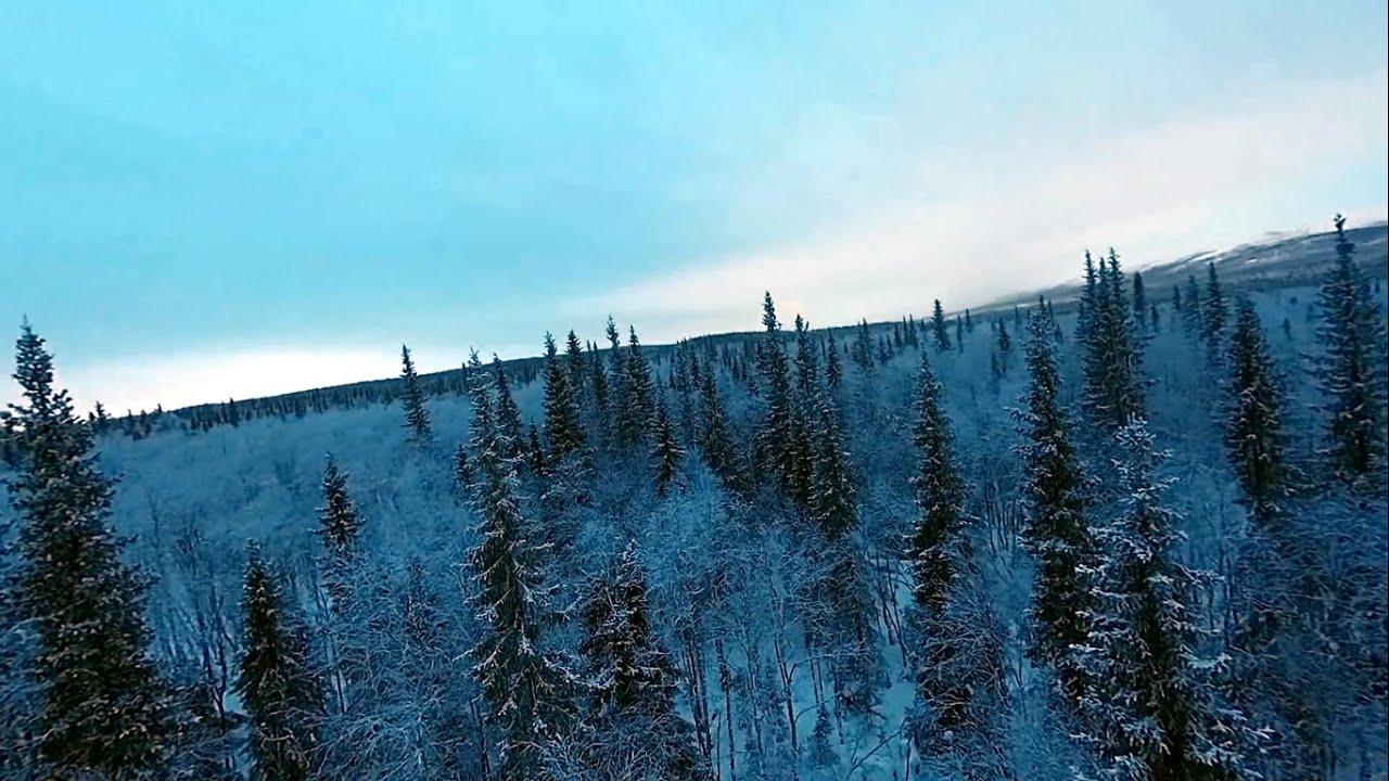Крыло (Ripper690) на бреющем
