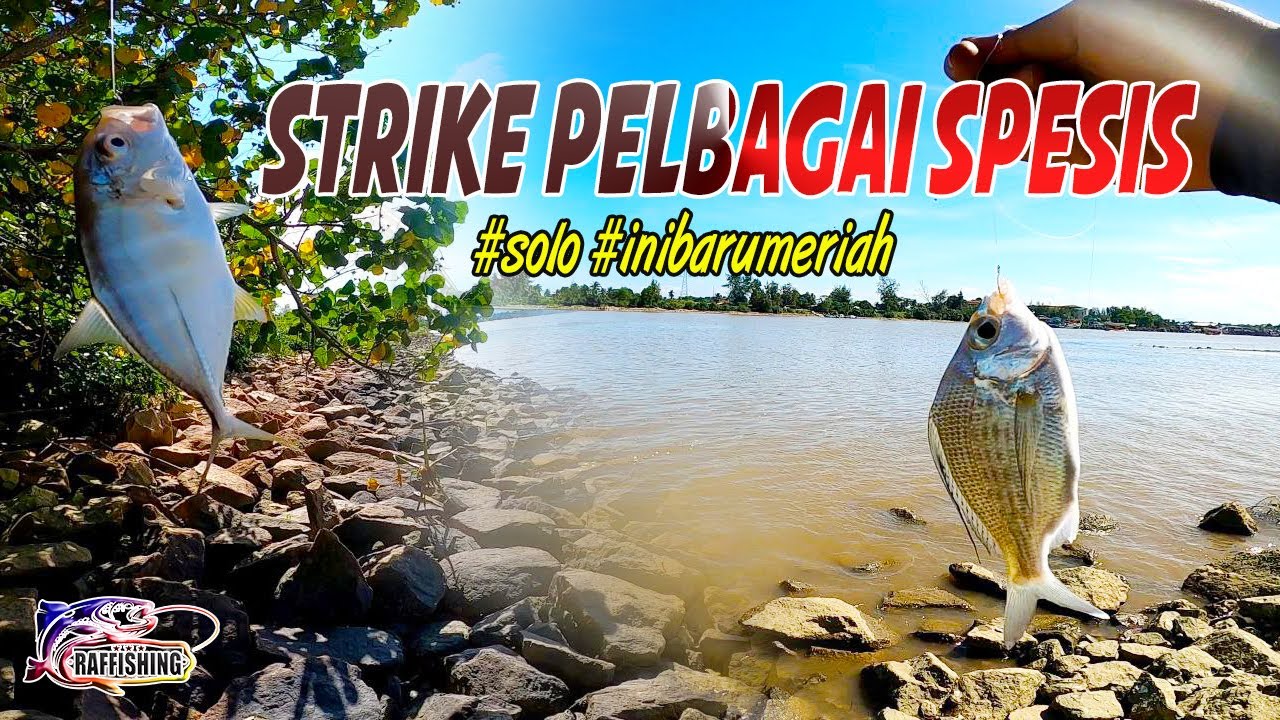Memancing di Tok Bali, Pasir Puteh, Kelantan episod 4