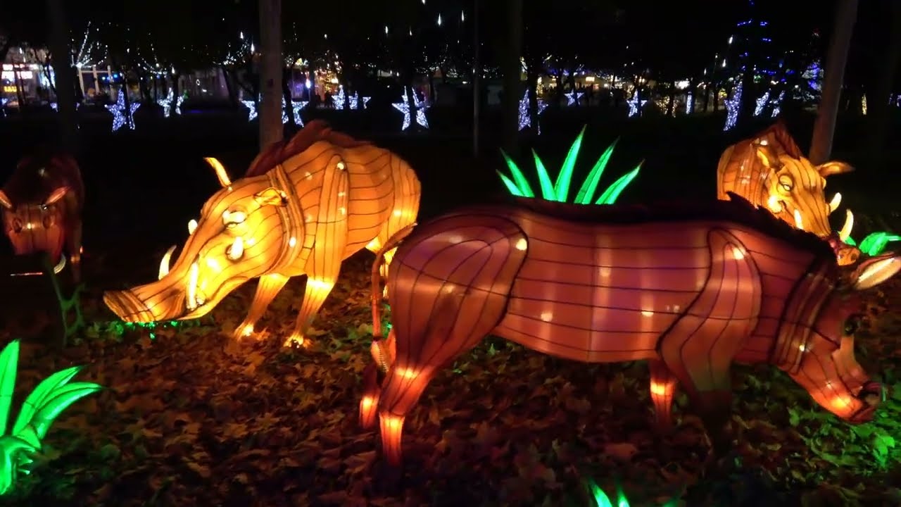 Mágicas Navidades de Torrejón de Ardoz 2024  2: 