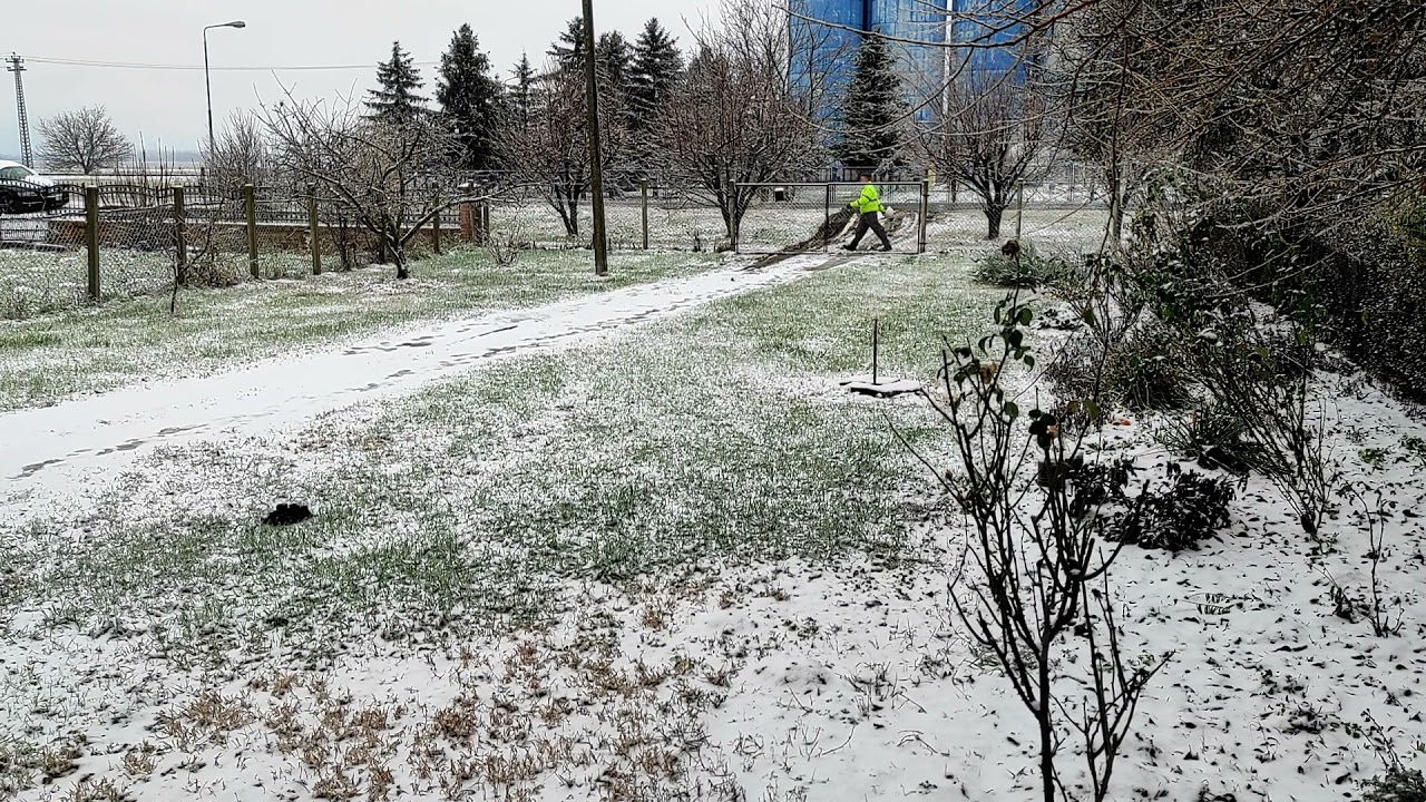Woke up with snow outside