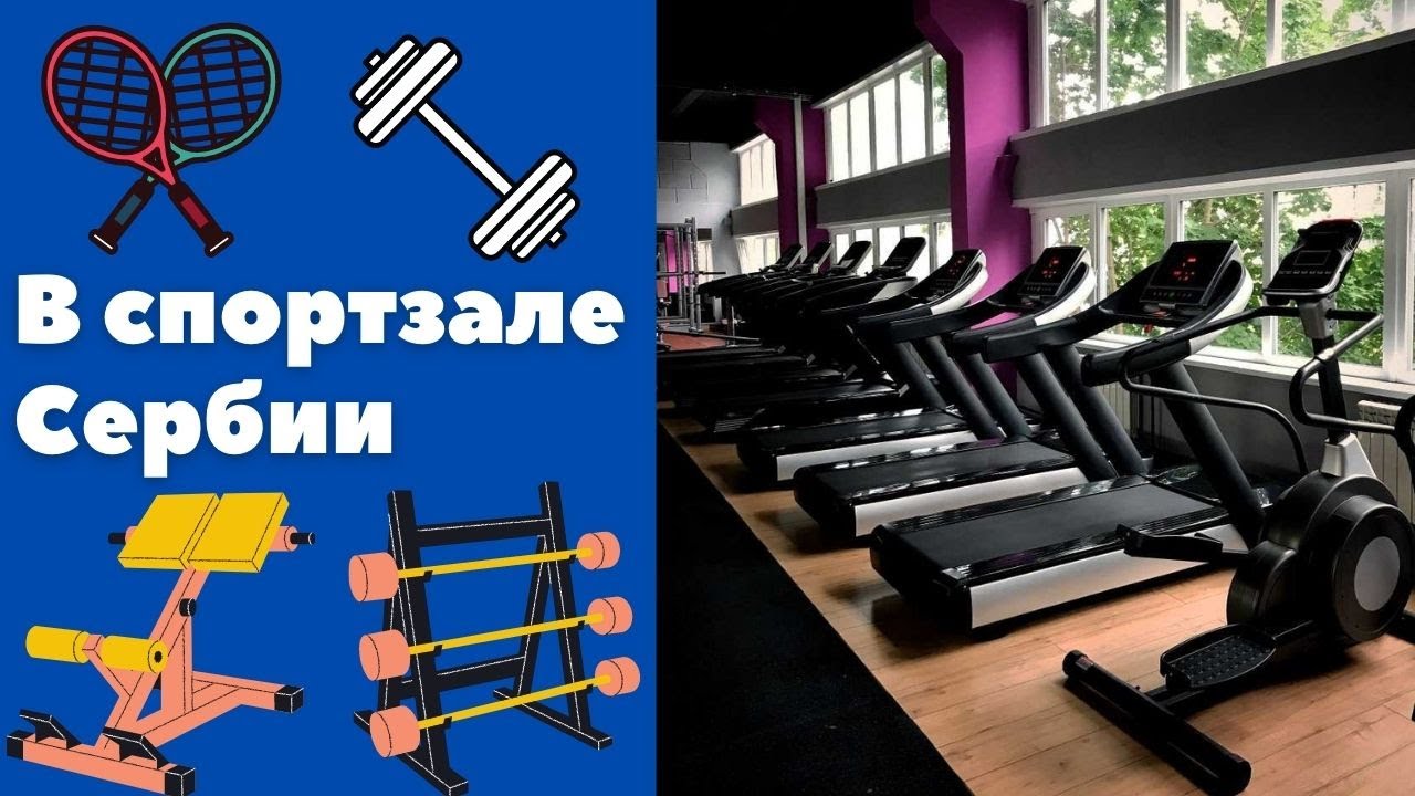 В спортзале Сербии || Уроки сербского языка