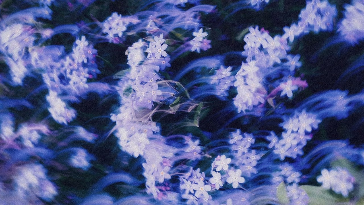Echoes Of Vida - Maximiliano Mena