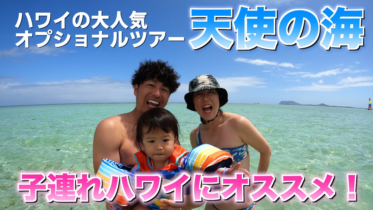 【ハワイの大人気ツアー】天使の海に参加してみたの回！