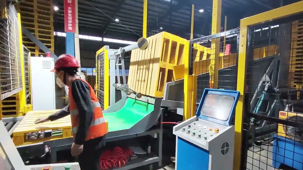 FJX101 Pallet Sorting Line for LOSCAM