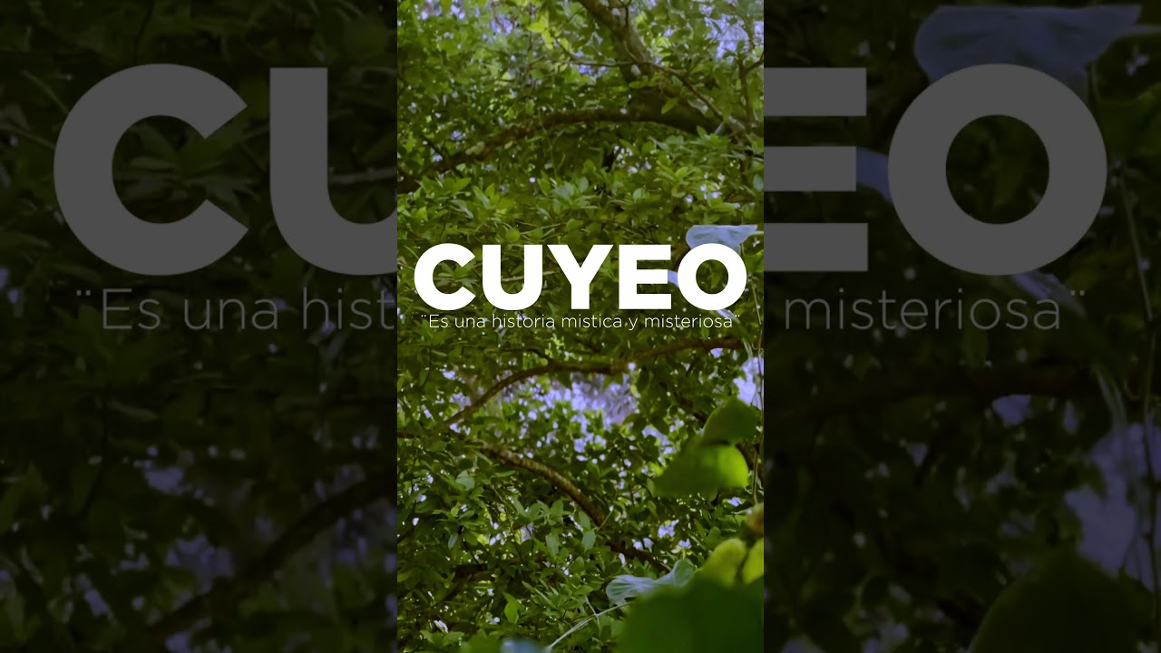 TEASER CUYEO