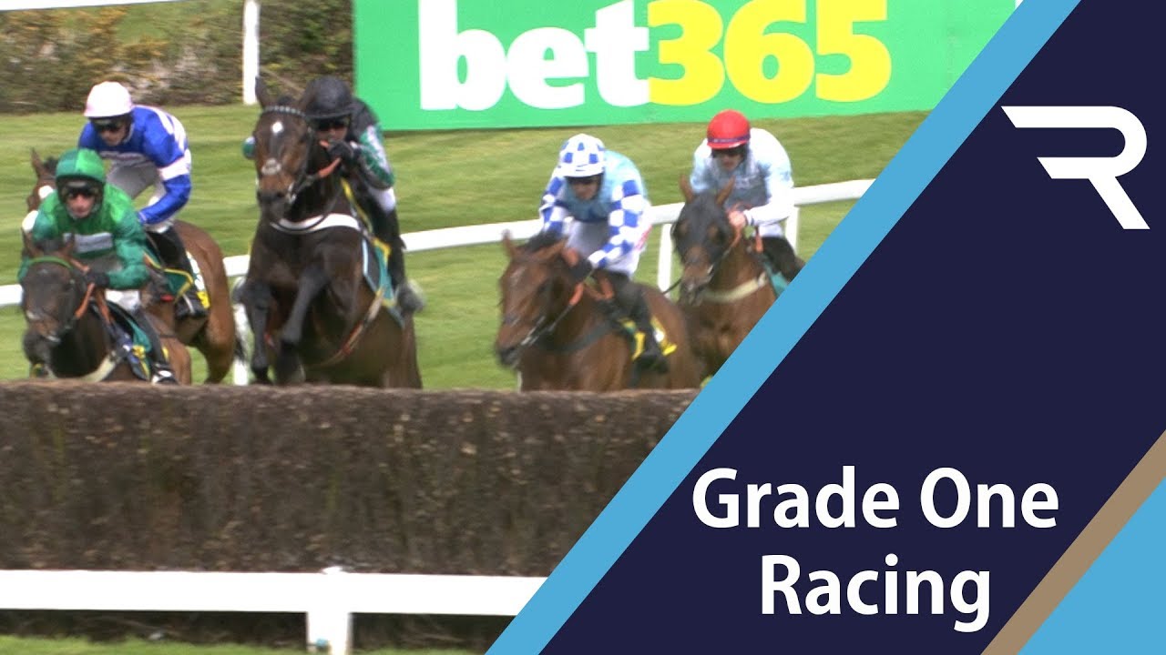2019 bet365 Celebration Chase - Racing TV