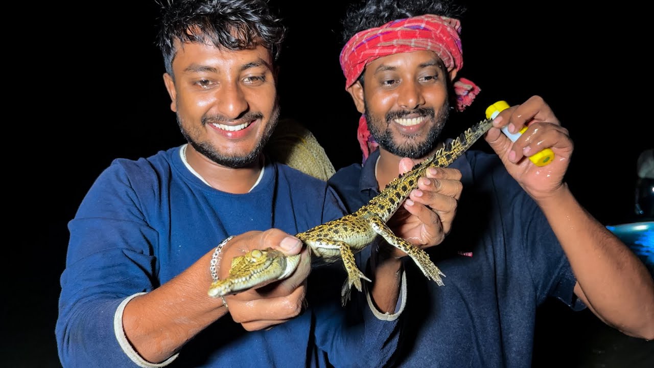 চিংড়ি মাছ ধরতে গিয়ে জালে ধরা পরল সুন্দরবনের কুমির net fishing!!!
