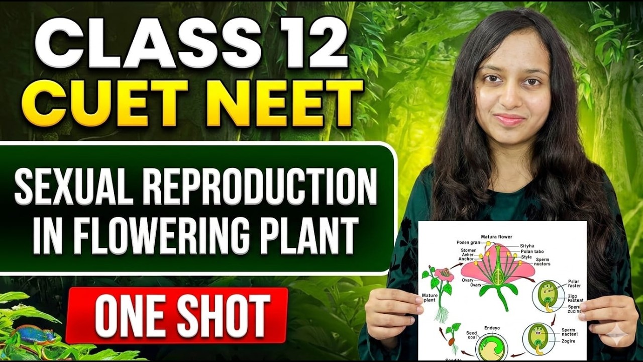 Sexual Reproduction in Flowering Plants | Class 12th Biology | By Shaad Ma'am